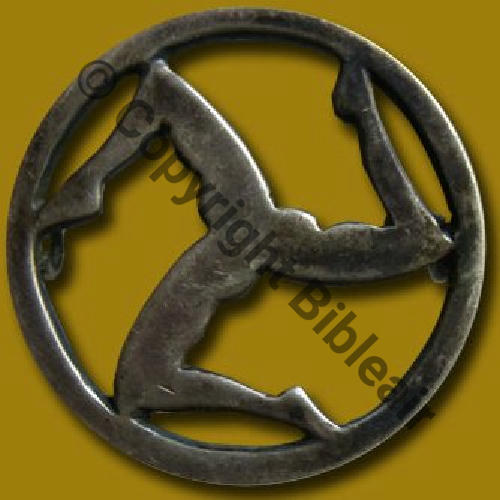 002  1920.33 A1447NH SAL.2 9eDRILLE 37eRAO... METAL RELIEF  SM 2Anneaux Dos lisse irreg Src.collect privee via A.DENIS 